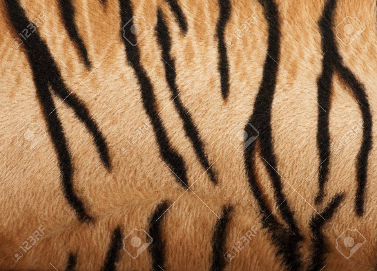 虎縞模様の背景の皮膚の構造 の写真素材 画像素材 Image