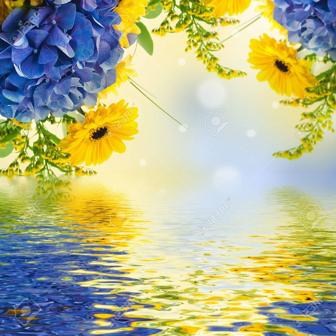 Bouquet From Blue Hydrangeas And Yellow Asters, A Flower Background Stock  Photo, Picture and Royalty Free Image. Image 21568485., image size:1300x1300