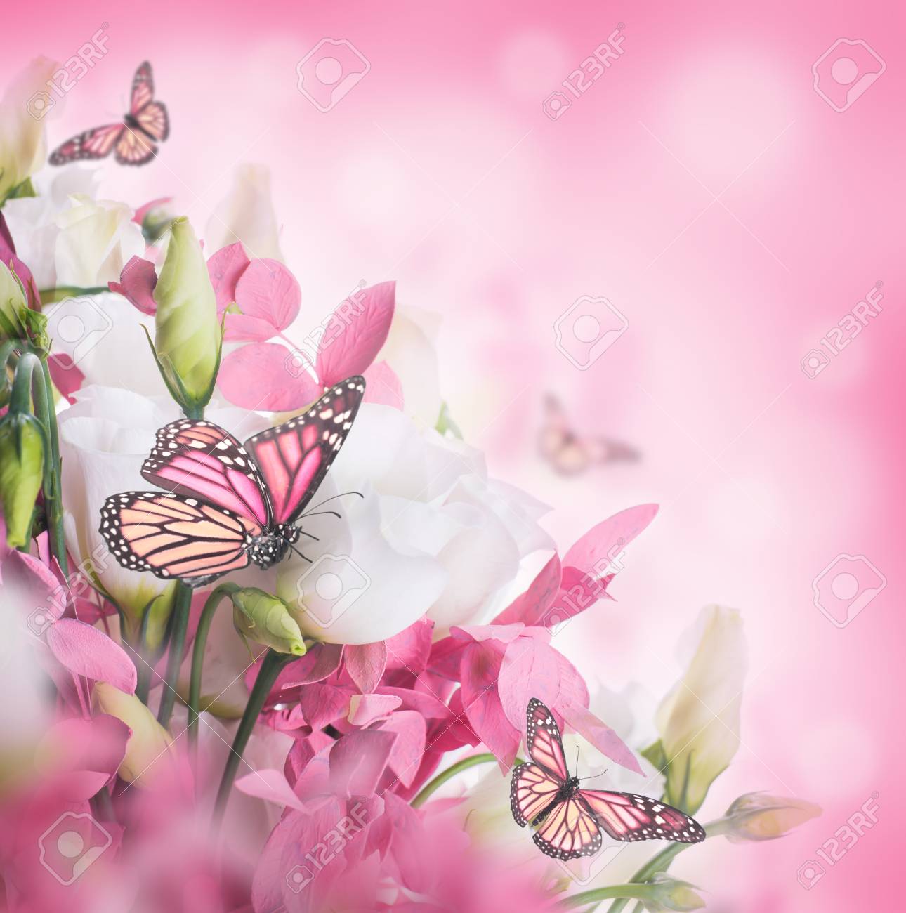 Bouquet Of White And Pink Roses, Butterfly. Floral Background. Stock Photo,  Picture and Royalty Free Image. Image 27954927., image size:1290x1300