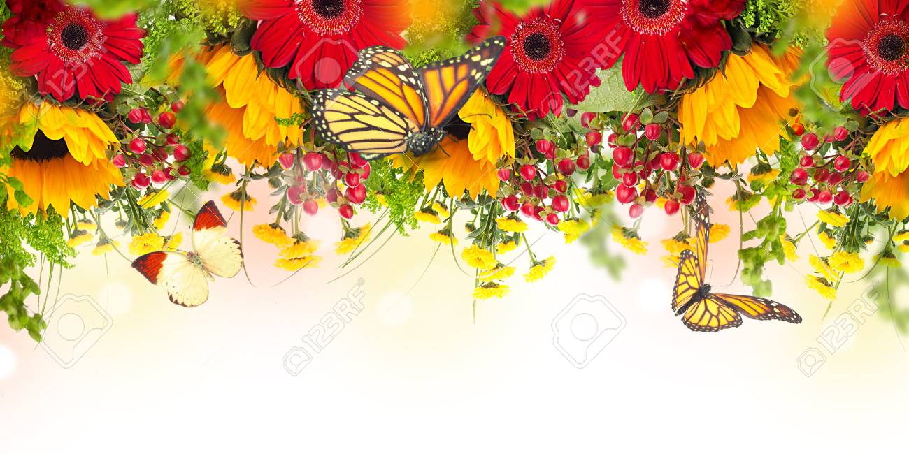 Bandera Alaza Bienvenido Mariposa Flores Girasol Marg Bandera Alaza Bienvenido Mariposa Flores Girasol Marg