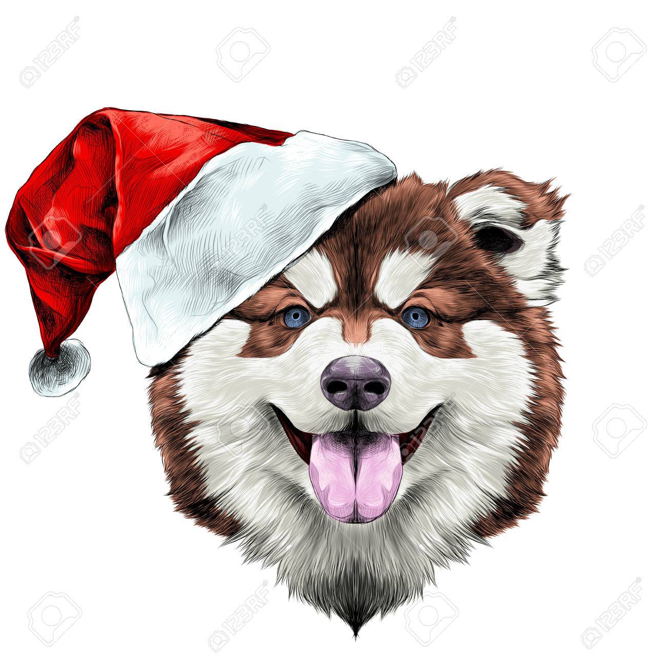 Race De Chien Chiot Malamute Dalaska Avec Sa Langue Traîner La Tête Dans Un Chapeau De Santa Sur La Symétrie De Côté Ressemble à Droite Des