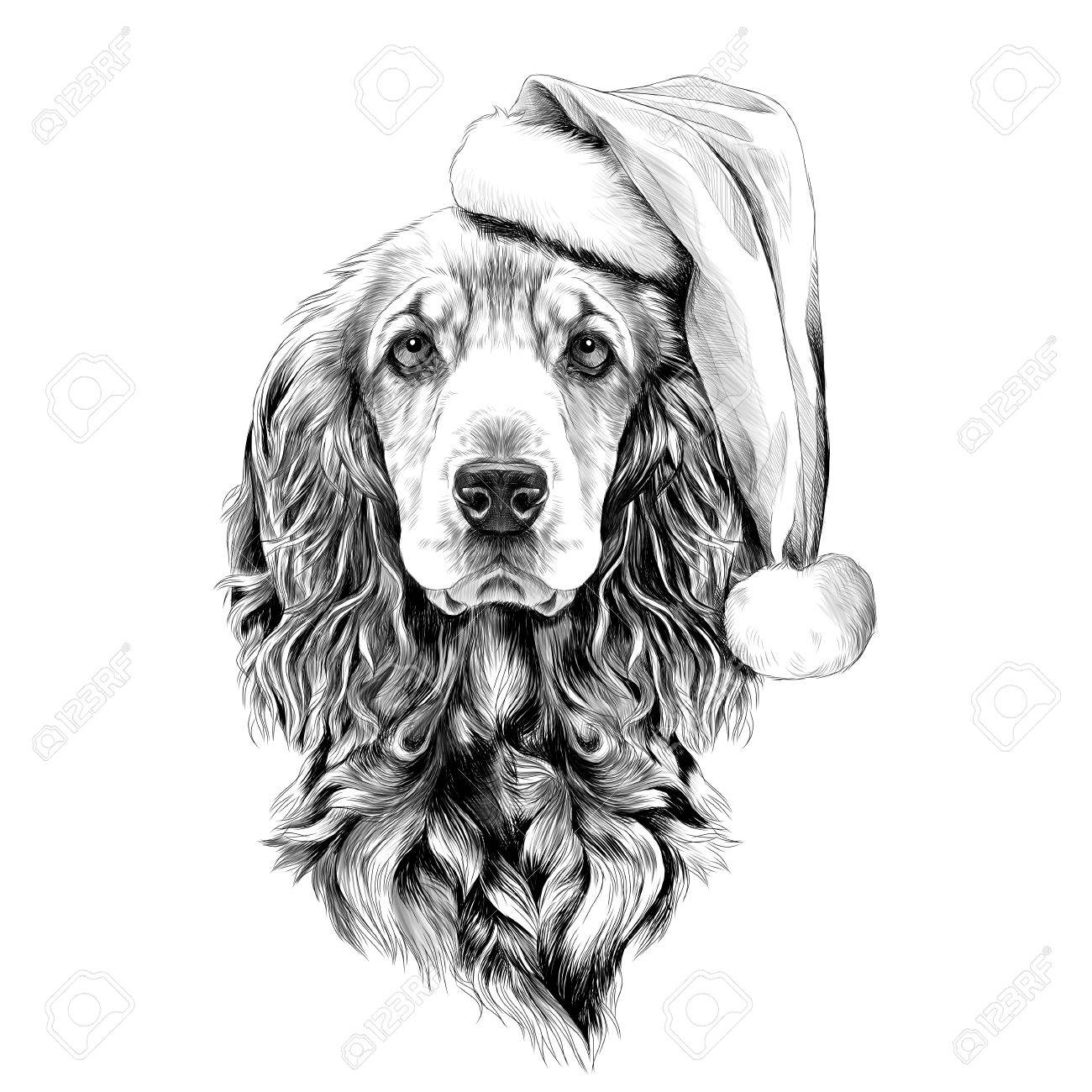 Race De Chien Cocker Spaniel Face à Un Chapeau De Père Noël Croquis Vecteur Graphique Dessin En Noir Et Blanc