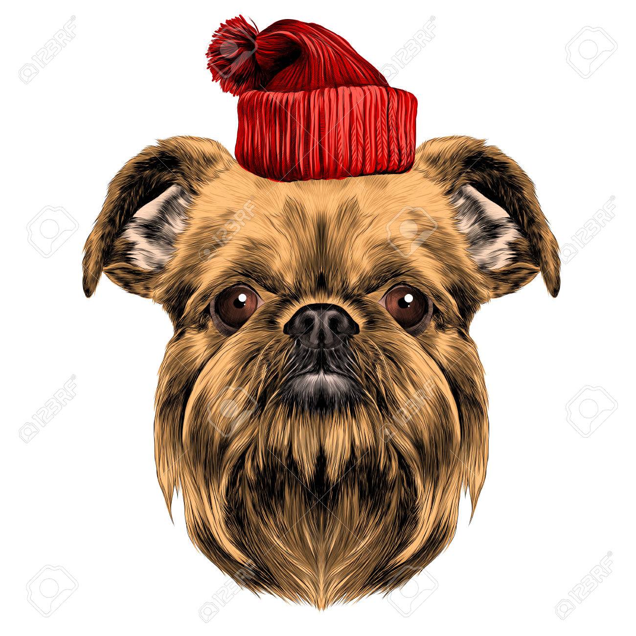 Race De Chien Bruxelles Griffon Graphiques Vectoriels Croquis Coloré Avec Chapeau Vacances Du Nouvel An