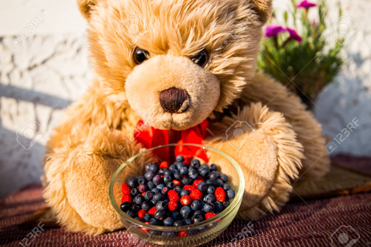 blueberry teddy bear