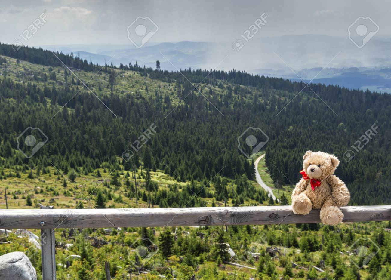 teddy bear mountain