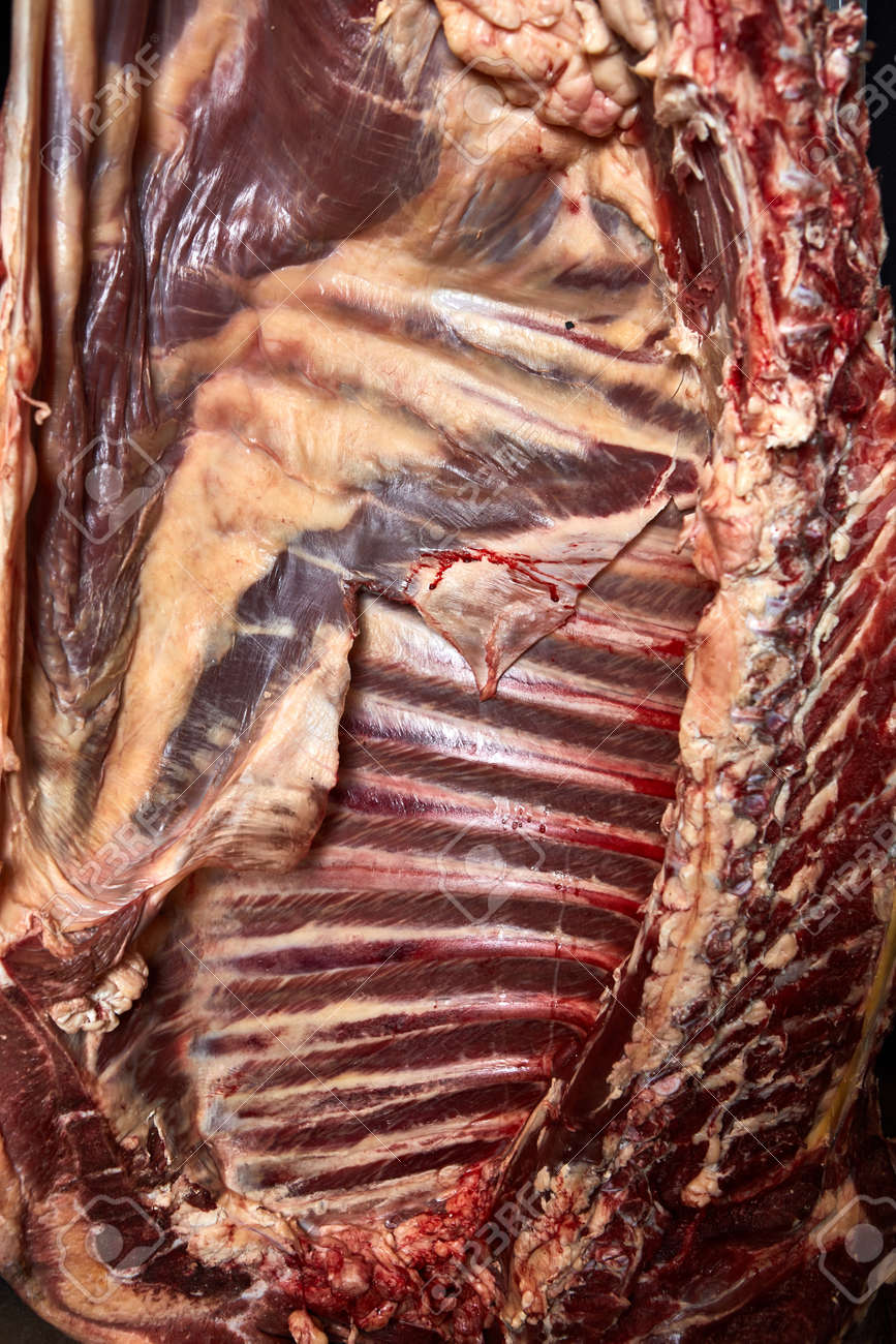 etiam-dictum-ipsum-a-felis