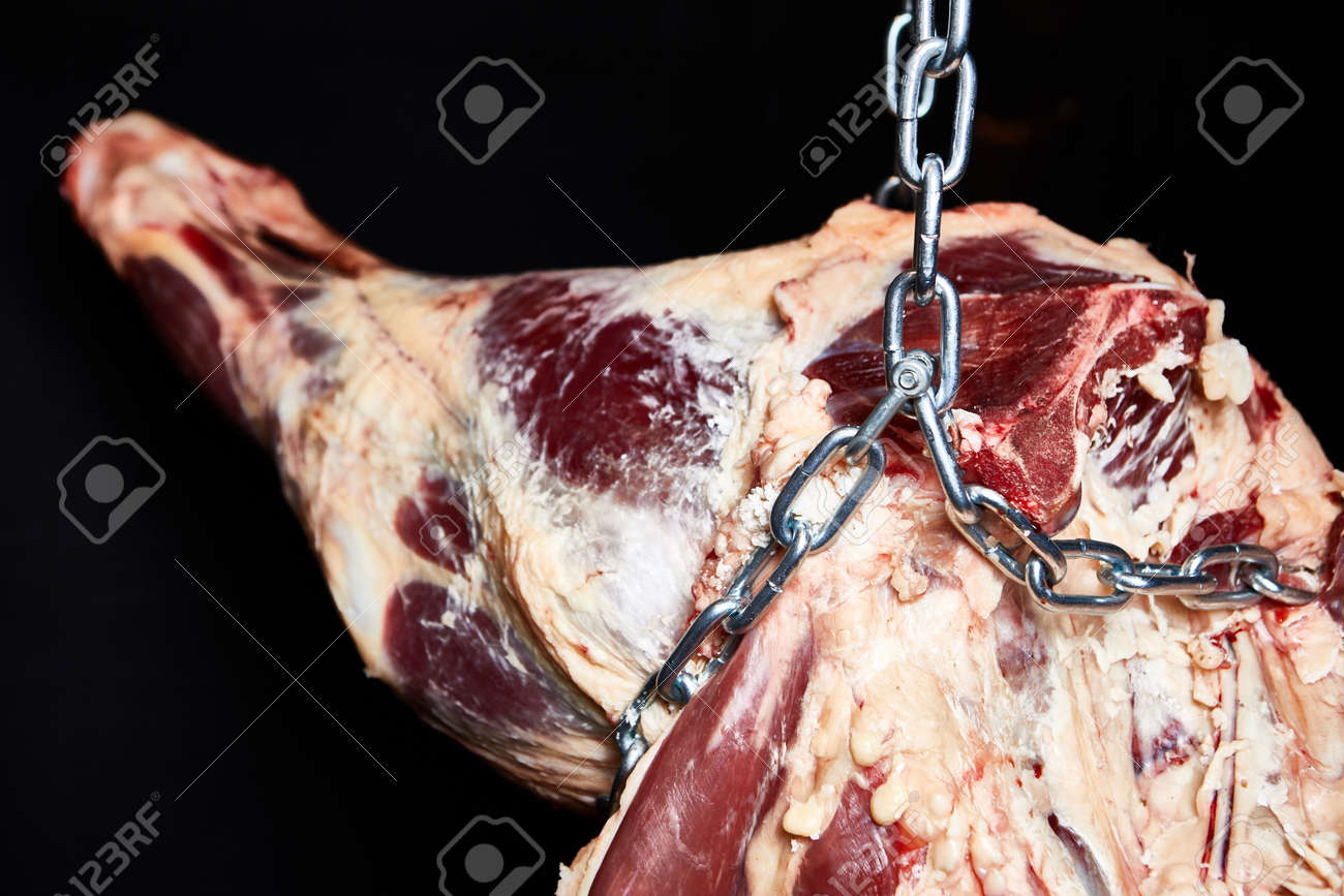 etiam-dictum-ipsum-a-felis