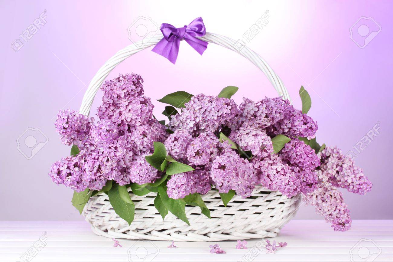 onpurple