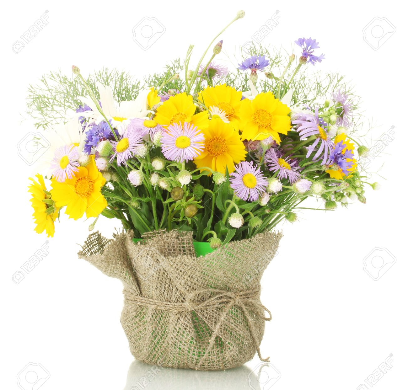 Beau Bouquet De Fleurs Sauvages Lumineuses Dans Pot De Fleurs Isolé Sur Blanc