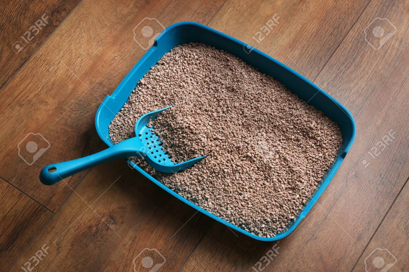 boxscoop litter box