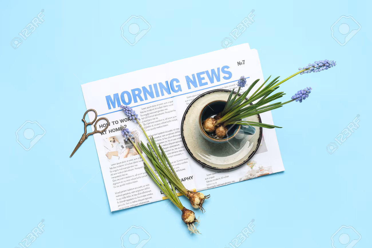 Composition with beautiful Muscari flowers, newspaper, cup and scissors on blue background - 205773504 Composition with beautiful Muscari flowers, newspaper, cup and scissors on blue background - 205773504