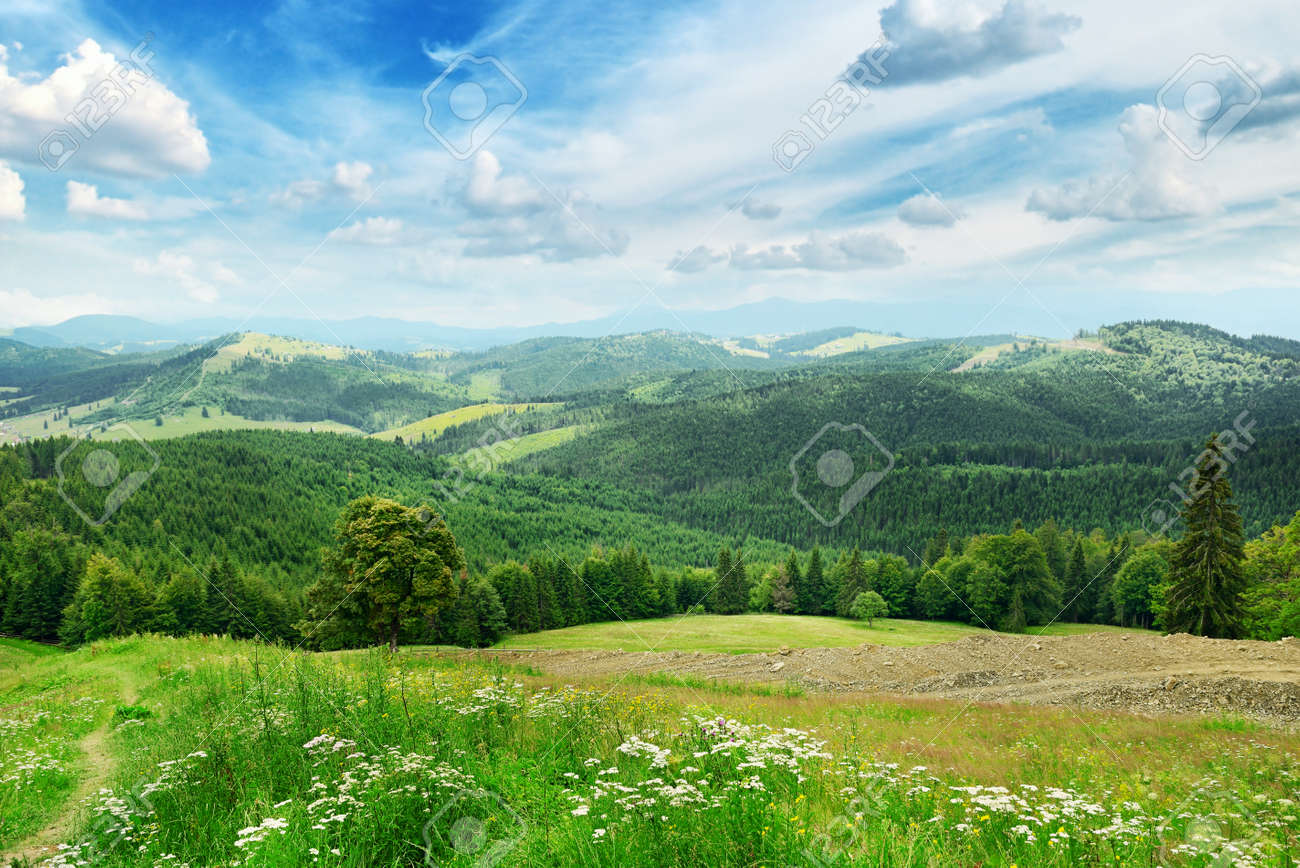 Beautiful mountains covered trees - 26071304 Beautiful mountains covered trees - 26071304