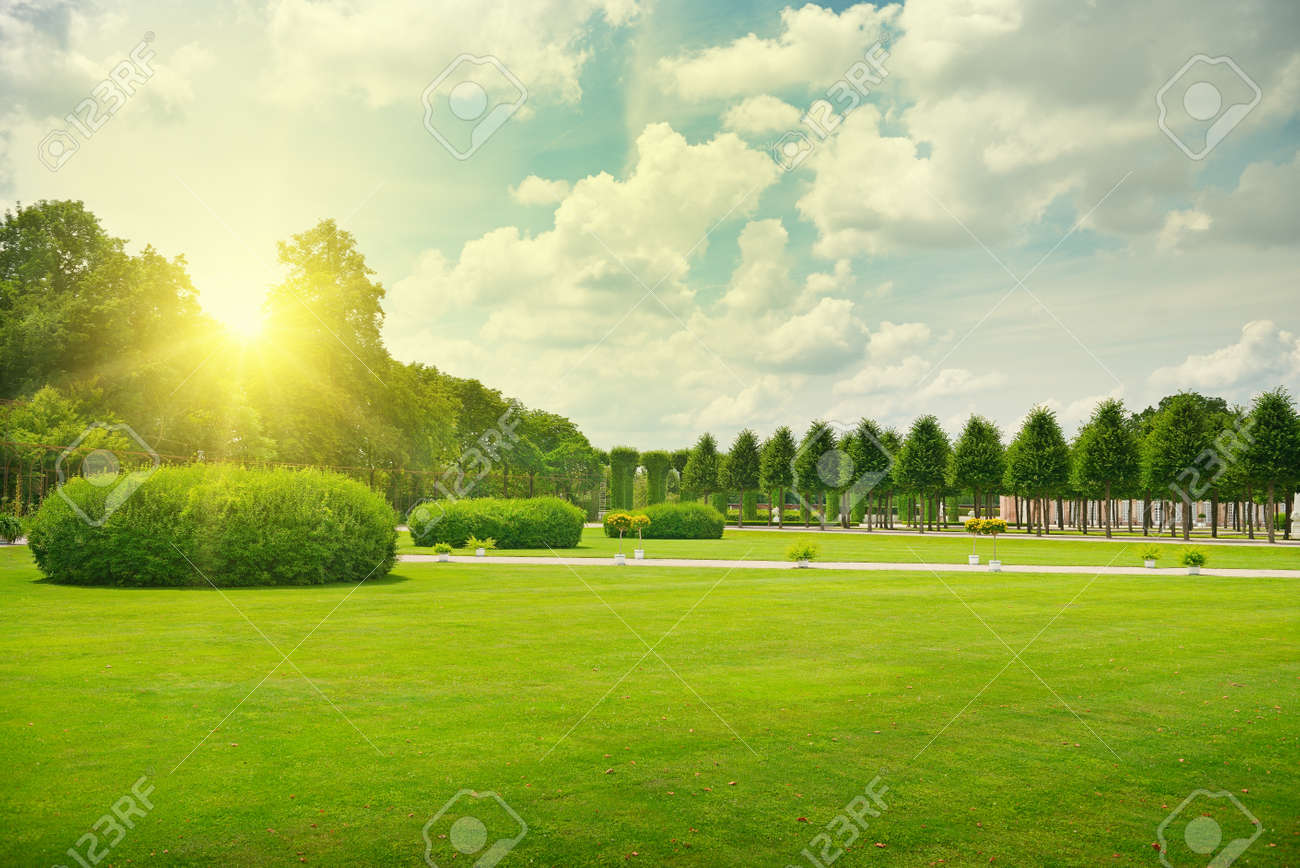 Sunrise in beautiful park - 33019494 Sunrise in beautiful park - 33019494