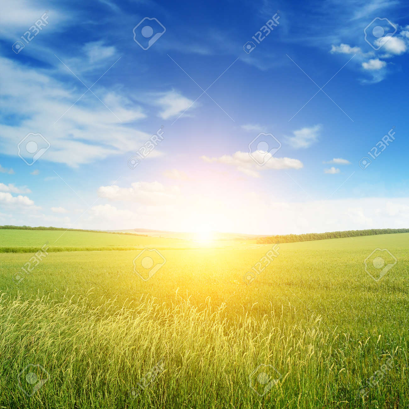Beautiful sunset on green field - 38970399 Beautiful sunset on green field - 38970399