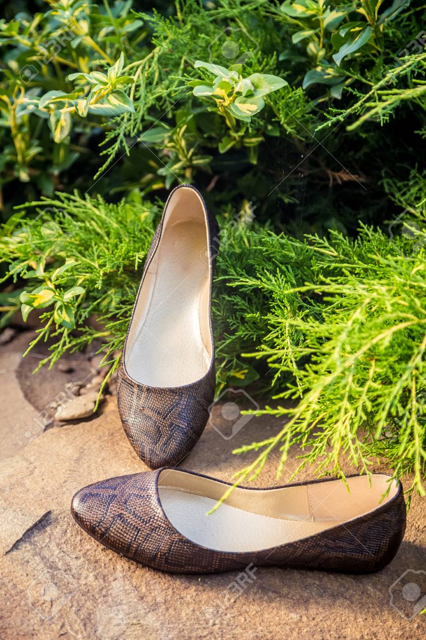 snakeskin flats womens shoes