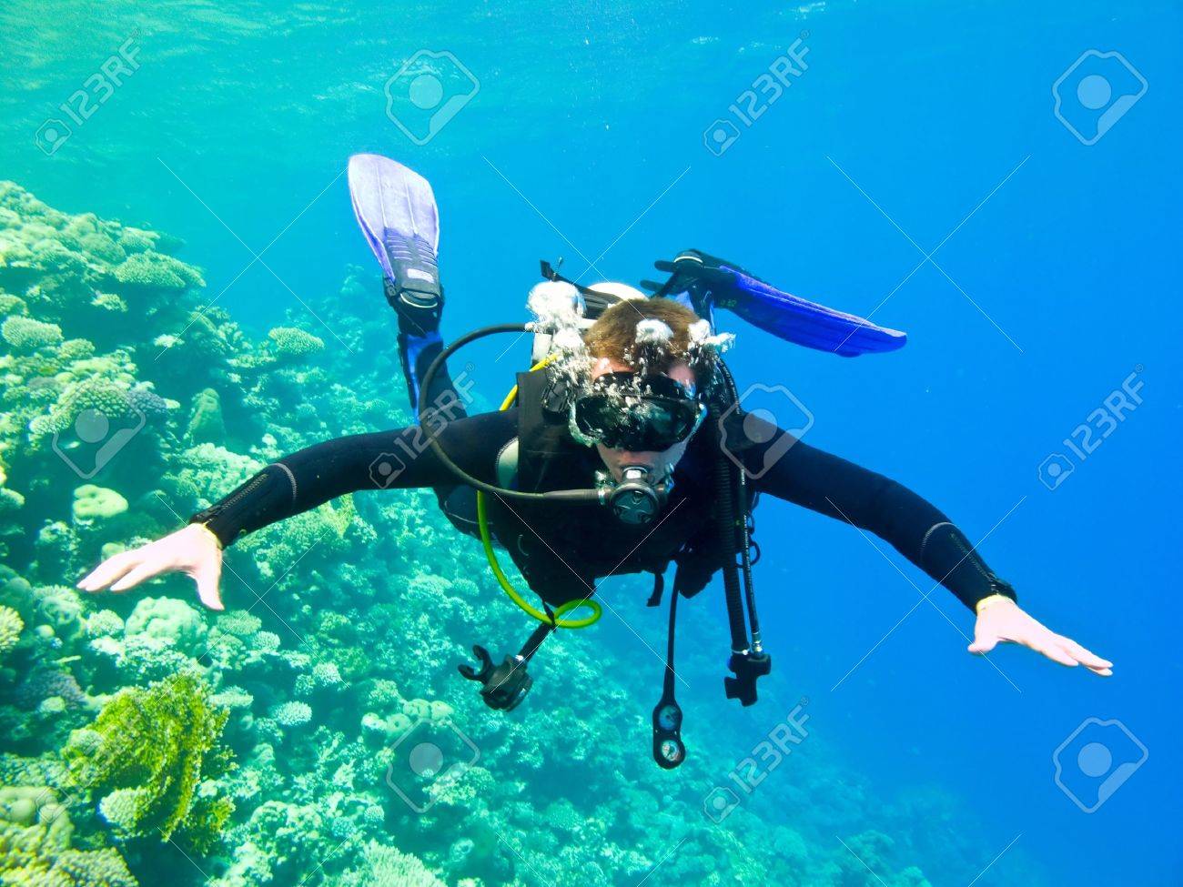 Scuba diver under water in the red sea. - 11312576 Scuba diver under water in the red sea. - 11312576