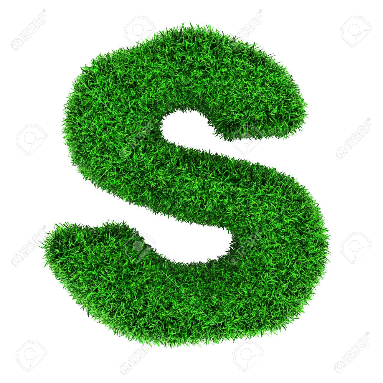 S P Daily Chart