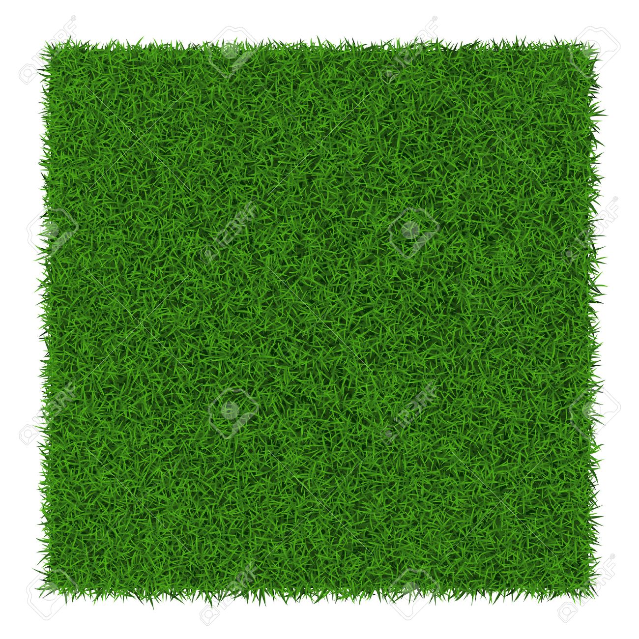 Platz Grune Gras Banner Vektor Illustration Lizenzfrei Nutzbare Vektorgrafiken Clip Arts Illustrationen Image 37628123