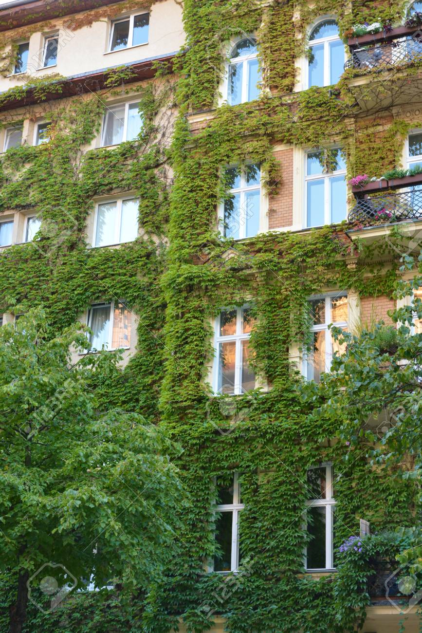 Casa Con Paredes Cubiertas De Plantas Naturales Verdes Como Jardin