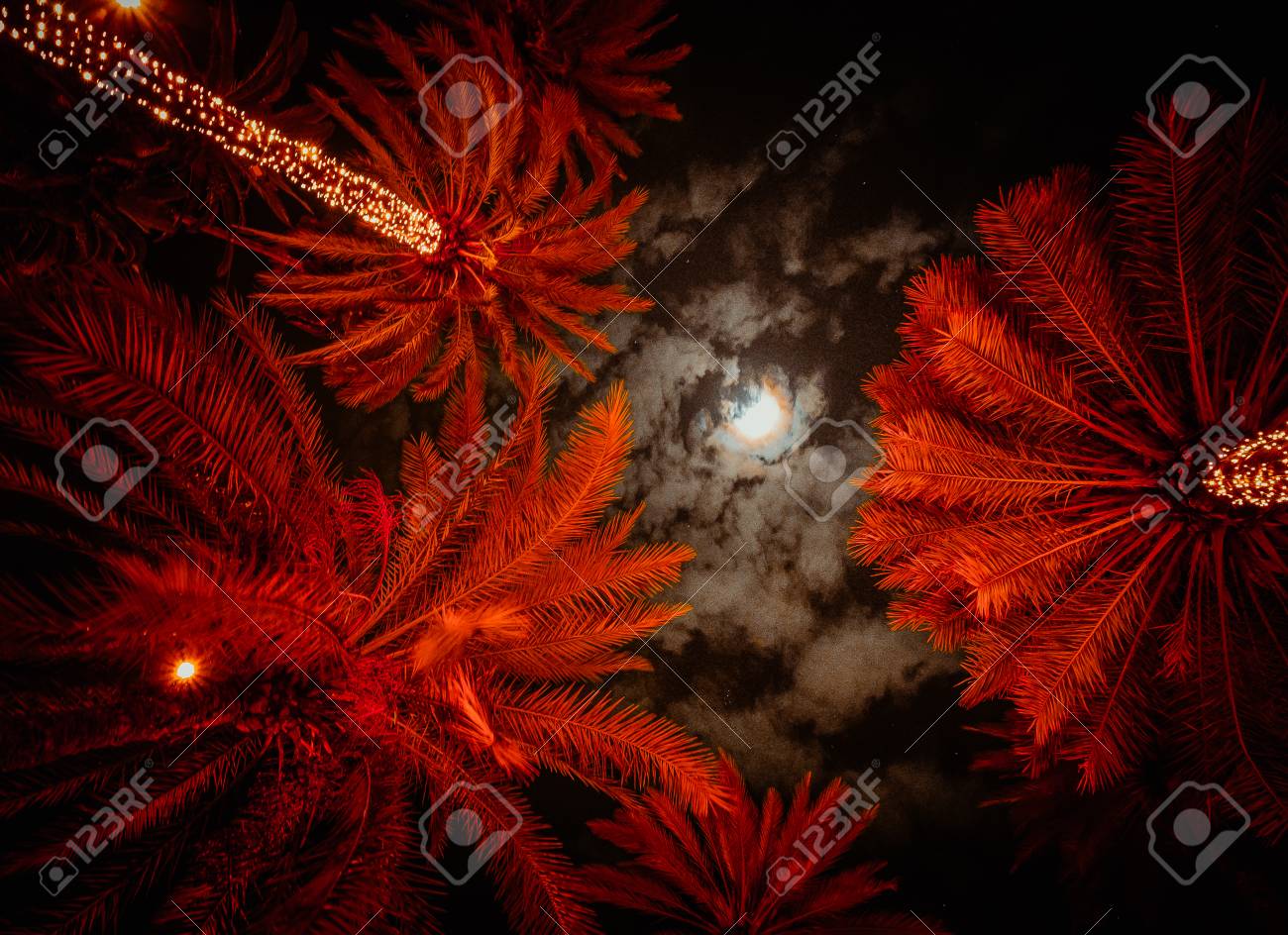 etiam-dictum-ipsum-a-felis