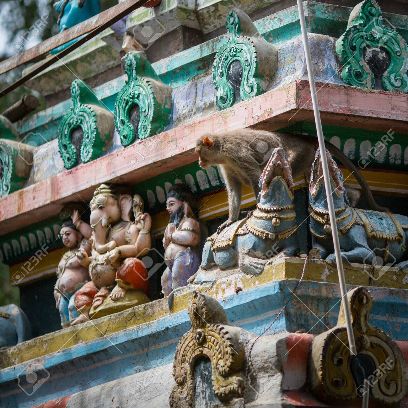 etiam-dictum-ipsum-a-felis