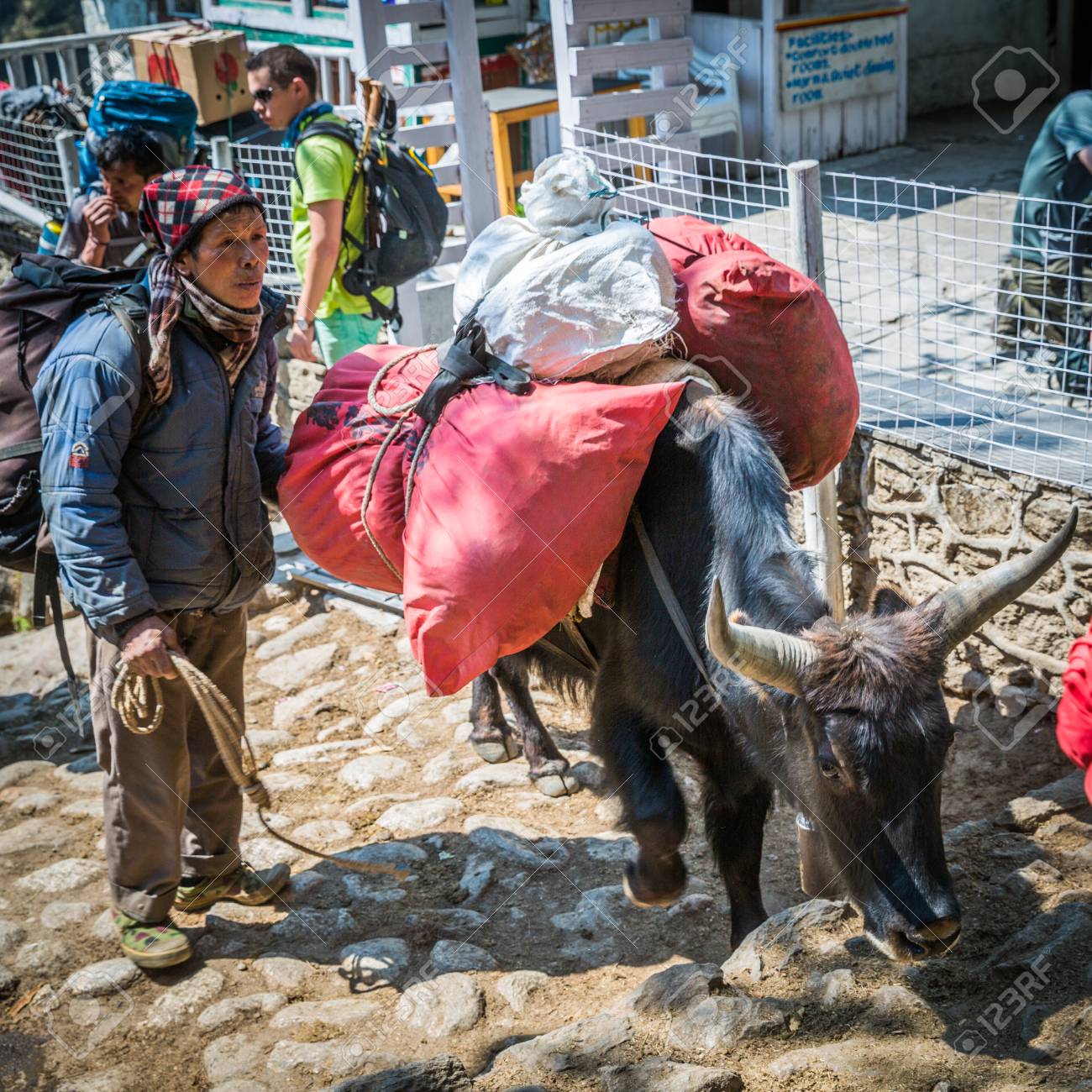 Les Sentiers Du Yak  . Sentier Balisé Dont Le Parcours Exige Plusieurs Jours, Par Opposition À Sentier De Petite Randonnée (P.r.), Dont Le Parcours Peut Être Effectué Dans La Journée.