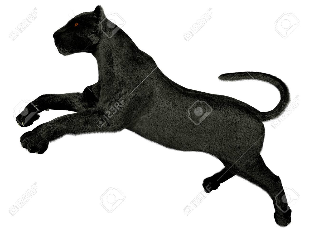 puma negro corriendo