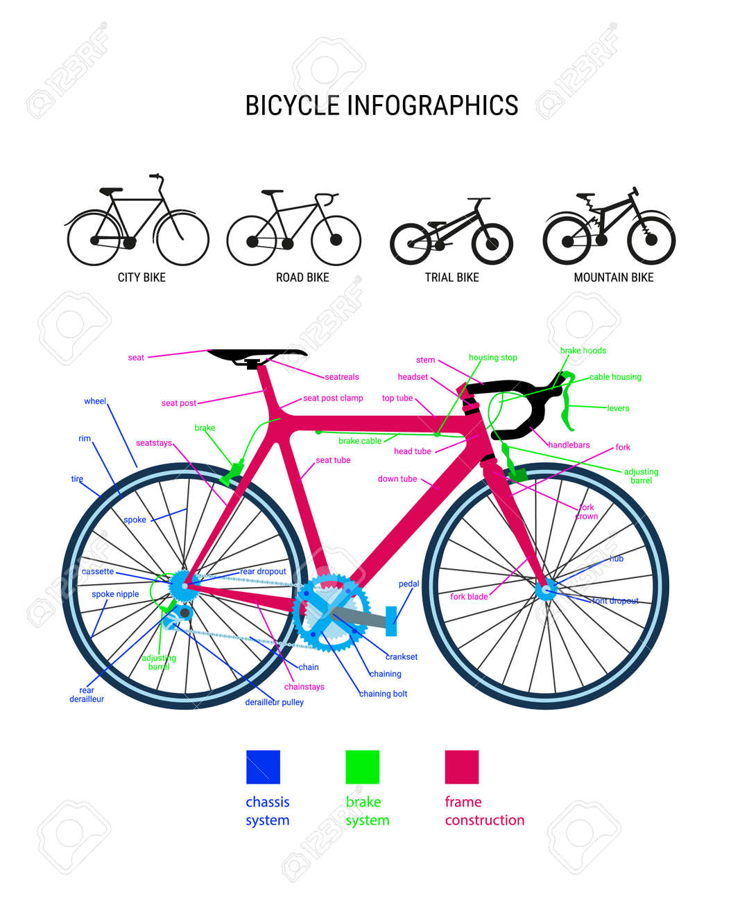 文句を言う 戸口 タンパク質 グラフィック 自転車 Timbrepost Com