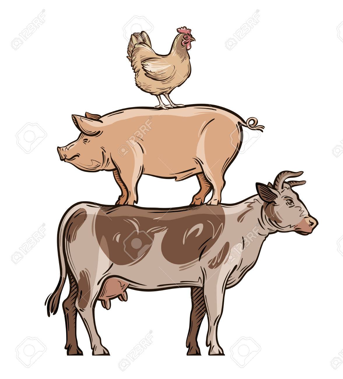 農場の動物 牛 豚 鶏 ベクトル図 のイラスト素材 ベクタ Image