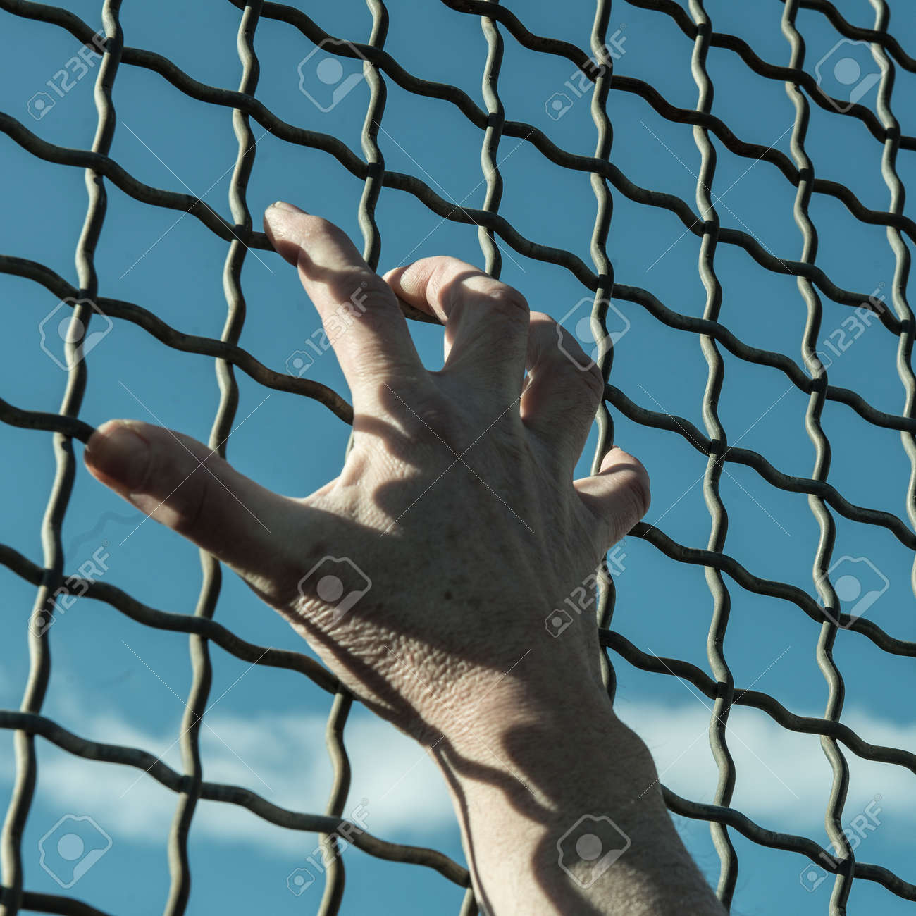 etiam-dictum-ipsum-a-felis