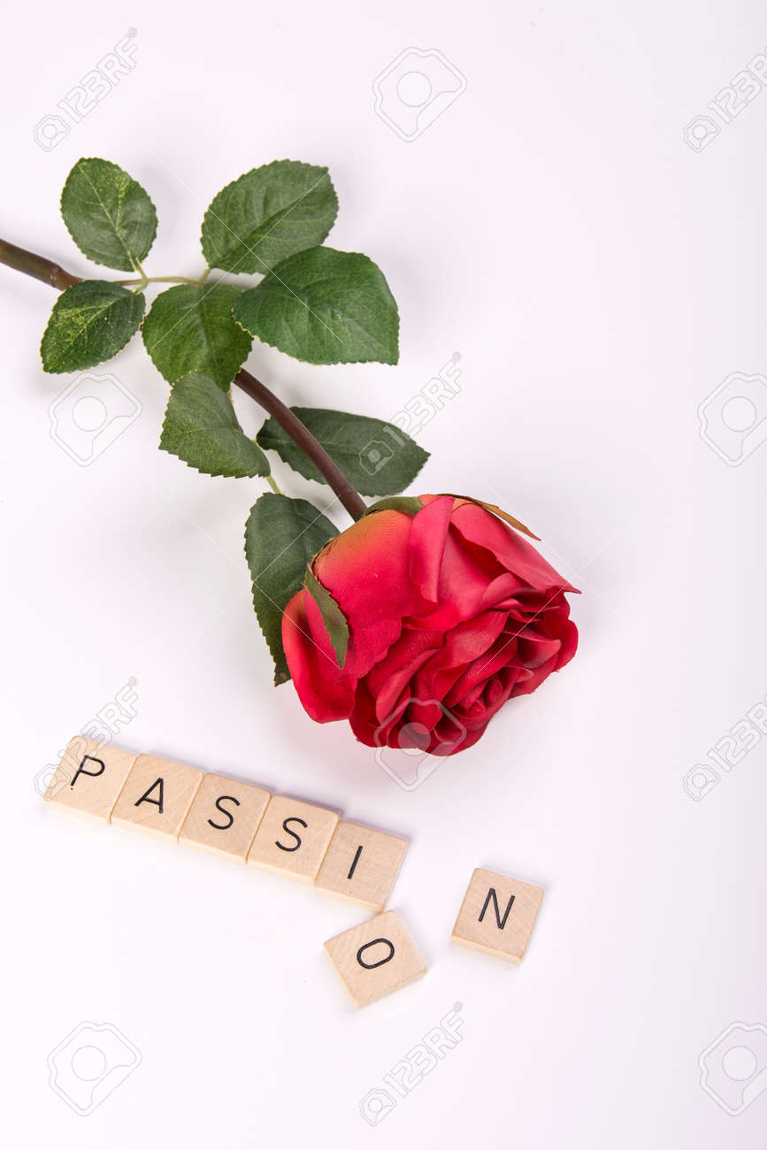 赤い薔薇単語 情熱 の写真素材 画像素材 Image 赤い薔薇単語 情熱 の写真素材 画像素材 Image