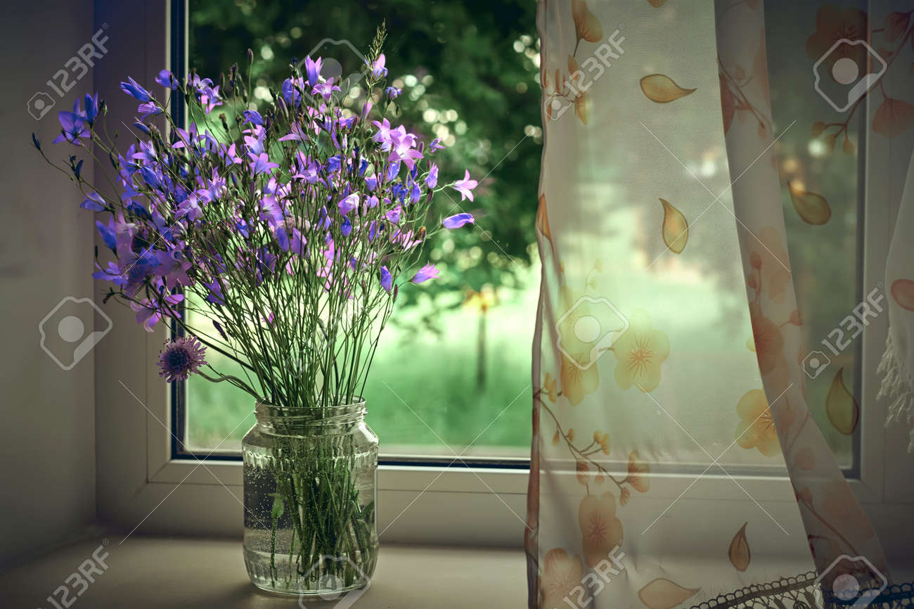 bouquet of blue field wind chimes in the window - 171642028 bouquet of blue field wind chimes in the window - 171642028