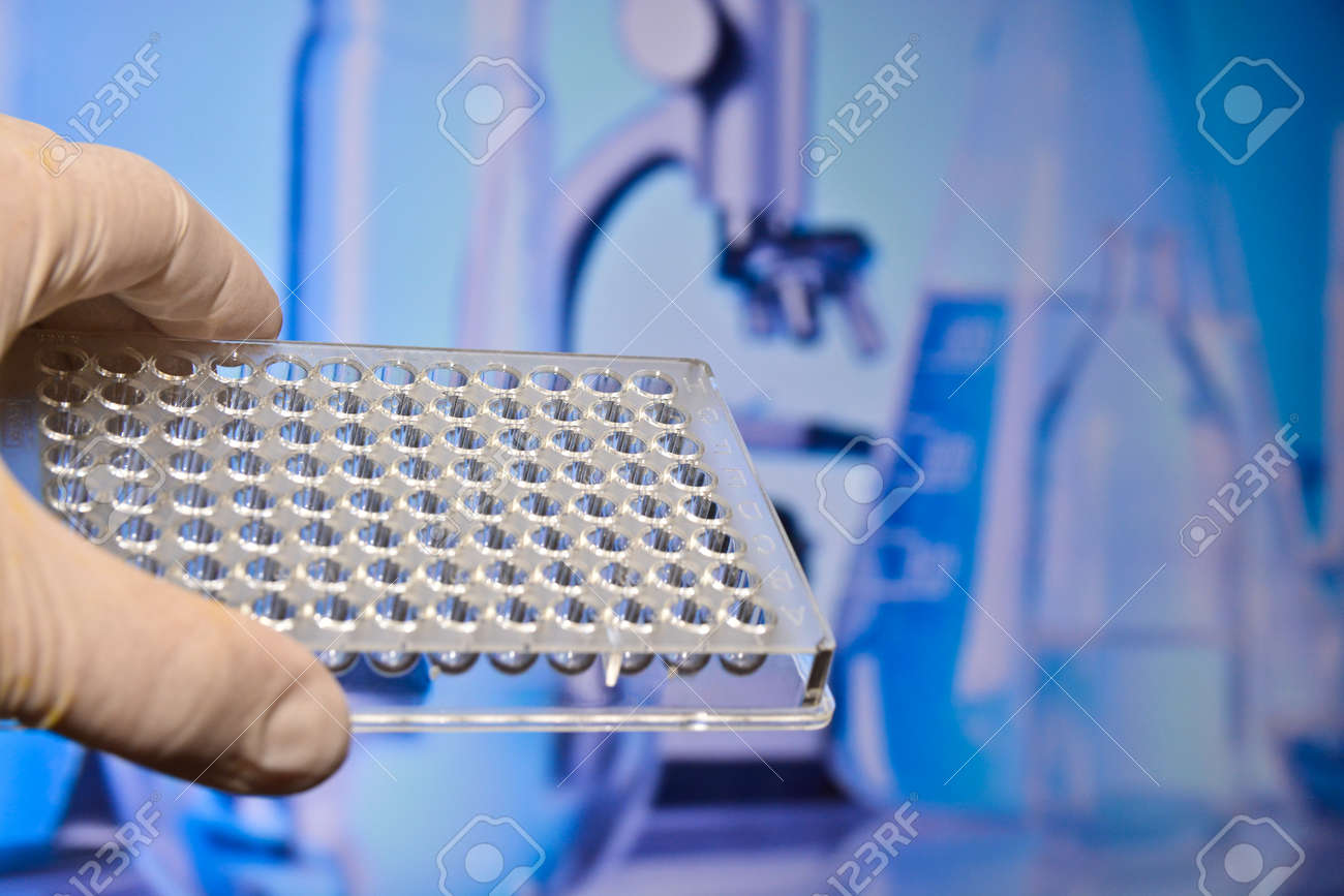 현대과학적 연구로 밝혀진 경옥고의 효능