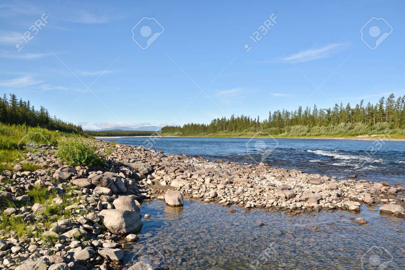 北極ウラルのきれいな美しい川 夏には 北のロシアの水の風景 の写真素材 画像素材 Image