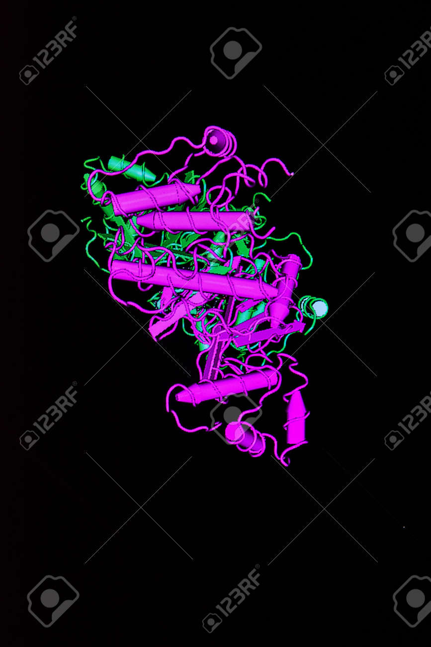 etiam-dictum-ipsum-a-felis