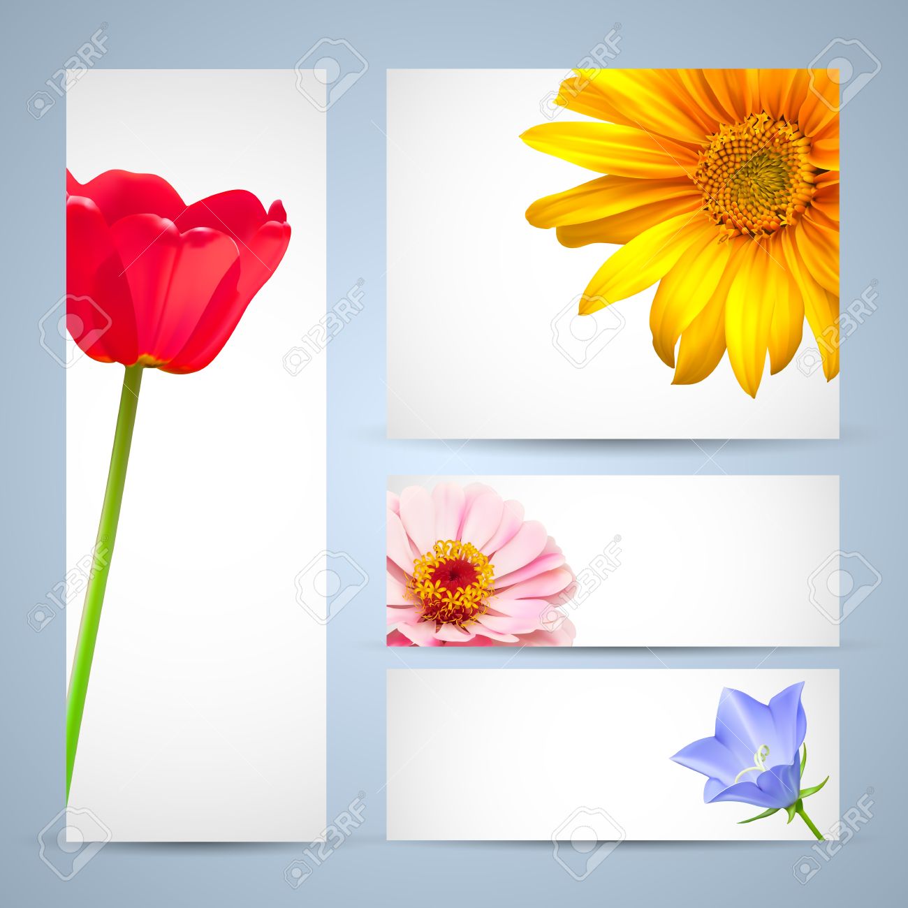 brochure background templates