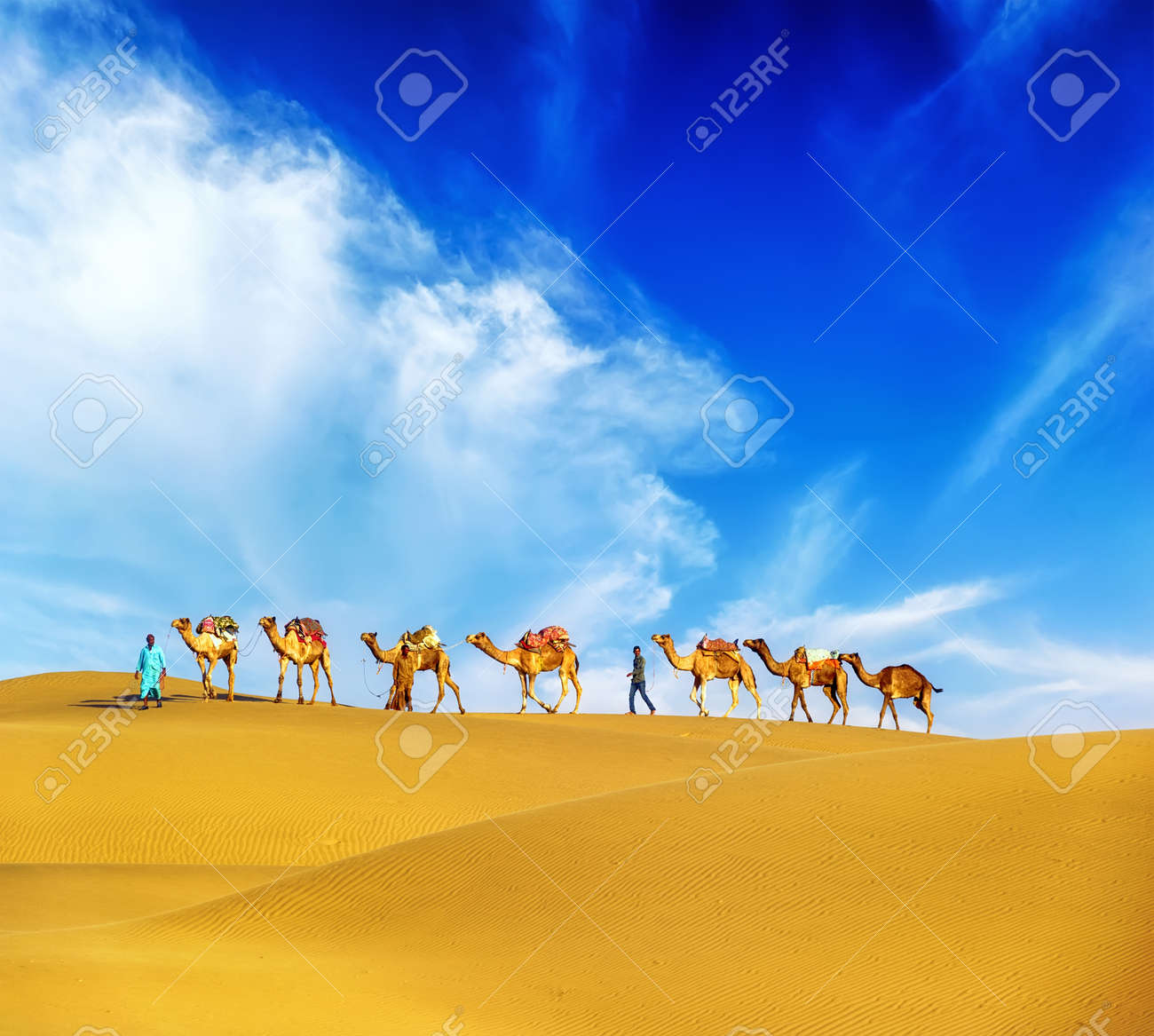 ラクダ砂漠風景 冒険旅行の背景 の写真素材 画像素材 Image