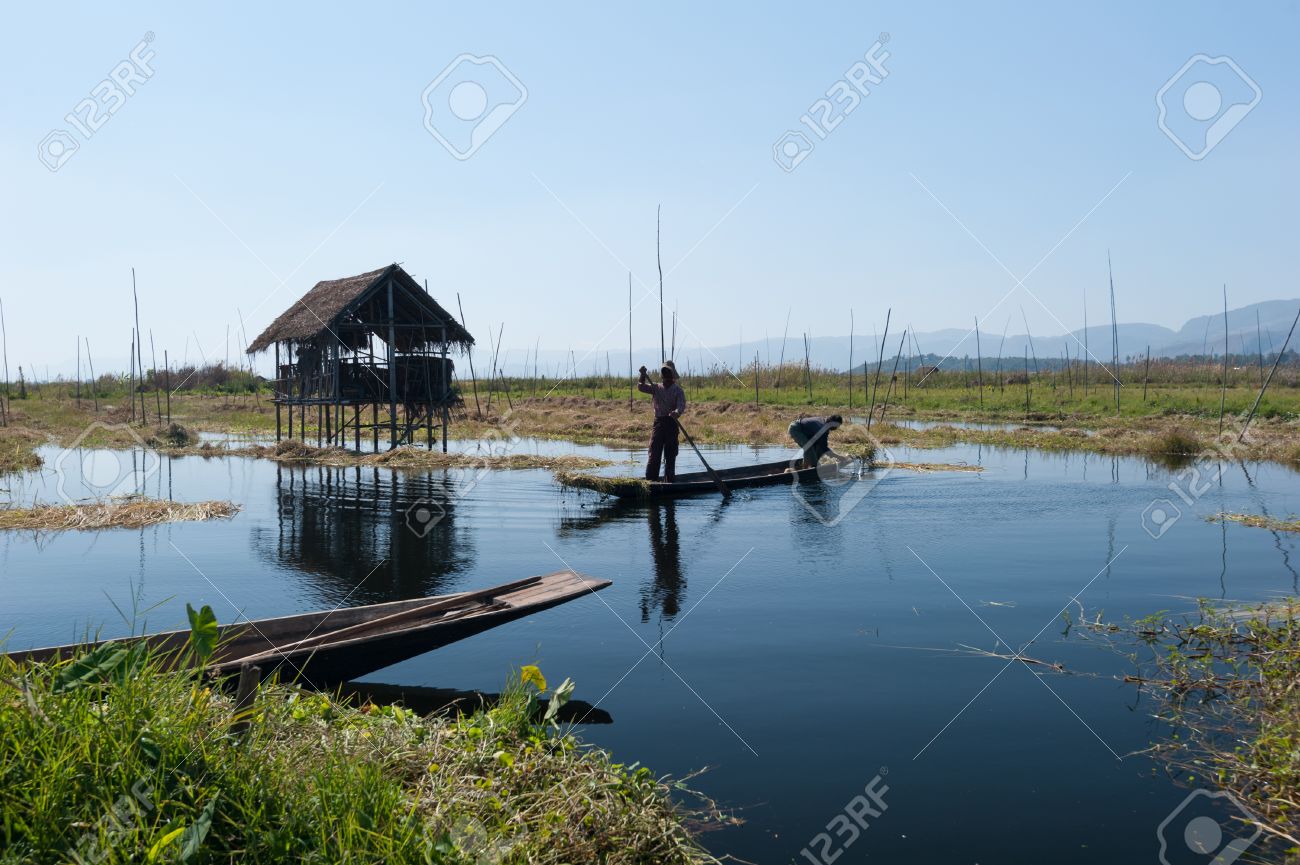 インレー湖ミャンマー シャン州農村部のインダー村農場水エコ自然パノラマのフローティング ガーデンズ の写真素材 画像素材 Image