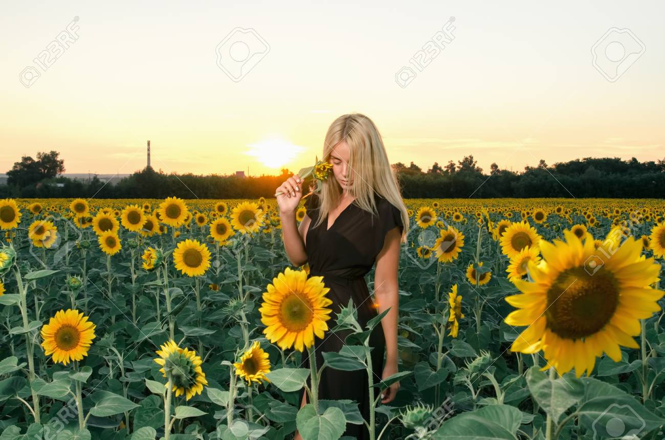 夕暮れのひまわり畑で 黒のドレスで美しい若い金髪モデル の写真素材 画像素材 Image 7332