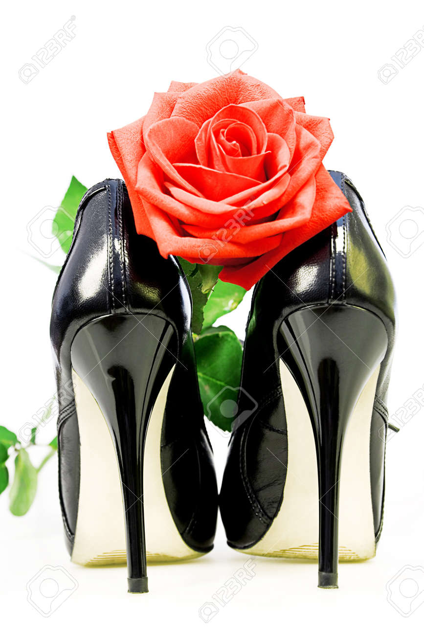 lady rose shoes