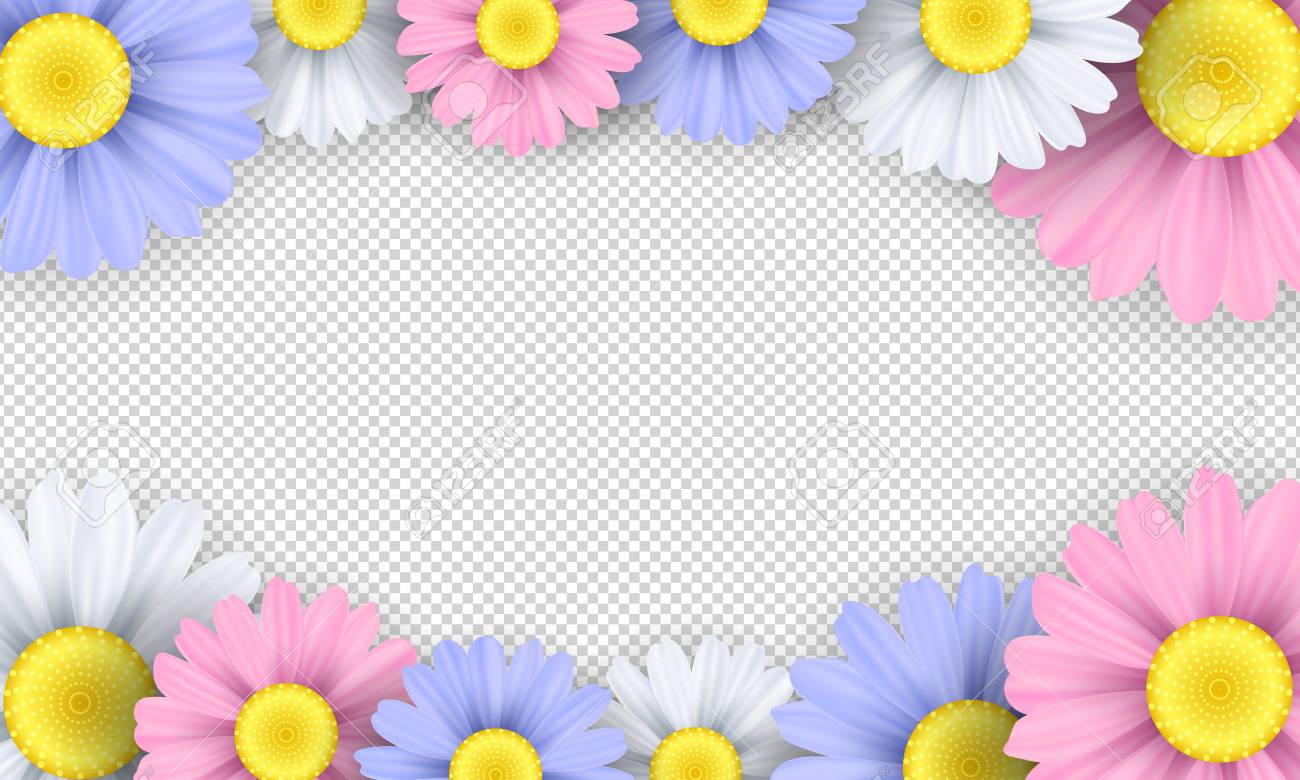 Seasonal Background Colorful Chamomile Flowers On A Transparent Background Royalty Free Svg Cliparts Vectors And Stock Illustration Image Seasonal Background Colorful Chamomile Flowers On A Transparent Background Royalty Free Svg Cliparts Vectors And Stock Illustration Image