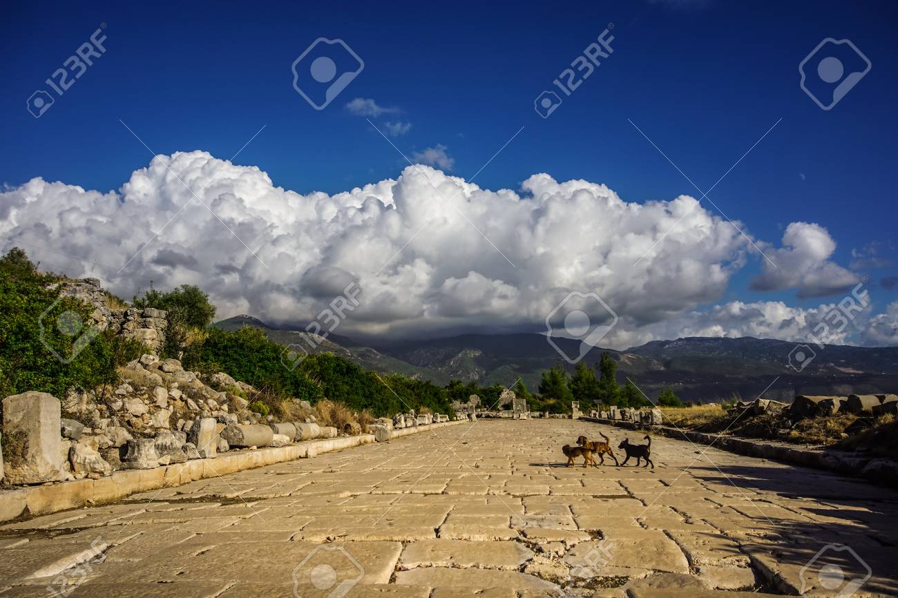 etiam-dictum-ipsum-a-felis