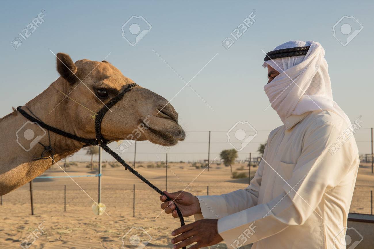 Arab Man And Camel On The Farm Stock Photo, Picture And Royalty Free Image. Image 47235189.