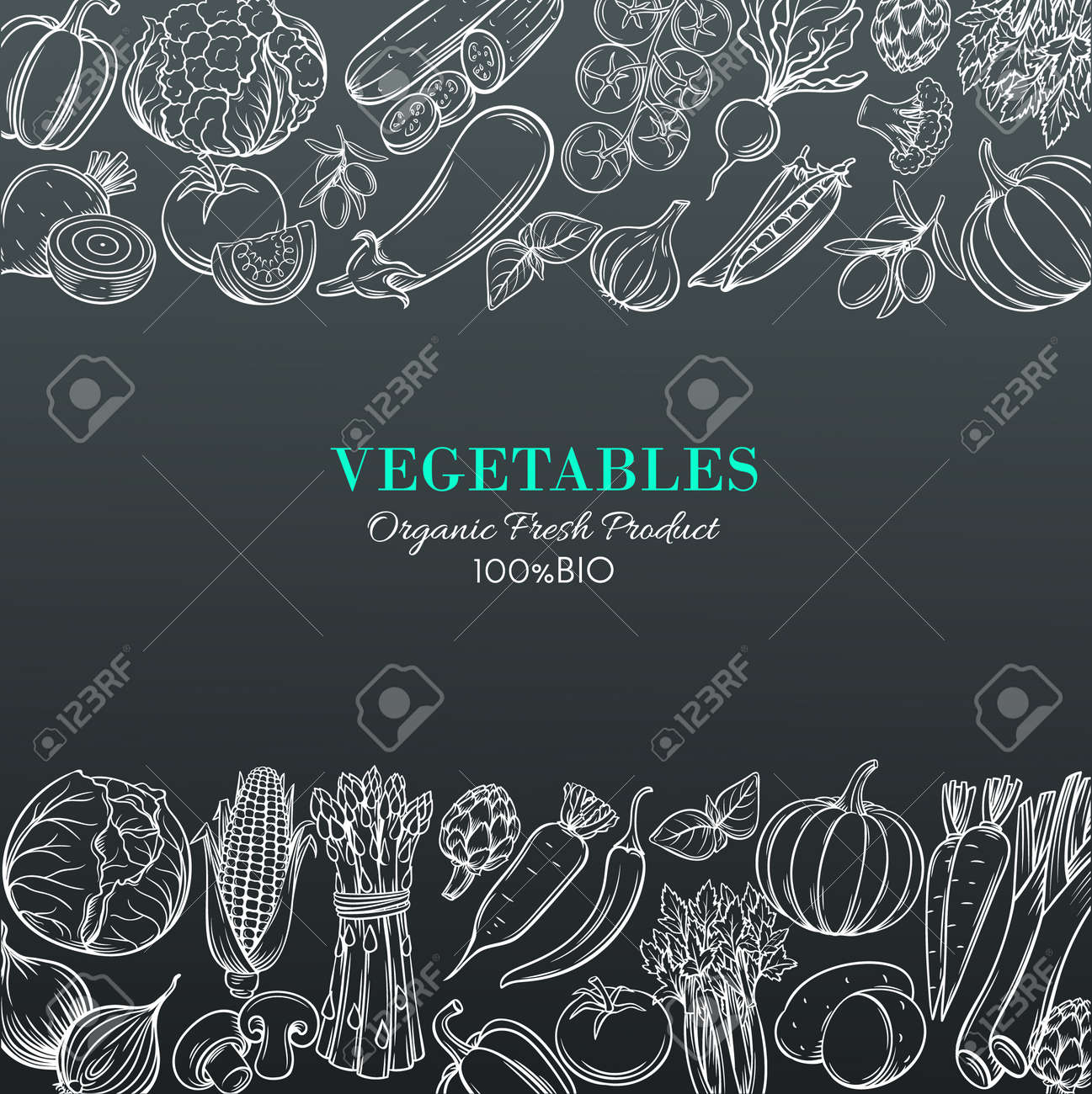 poster template borders with hand drawn vegetables for farmers free poster borders