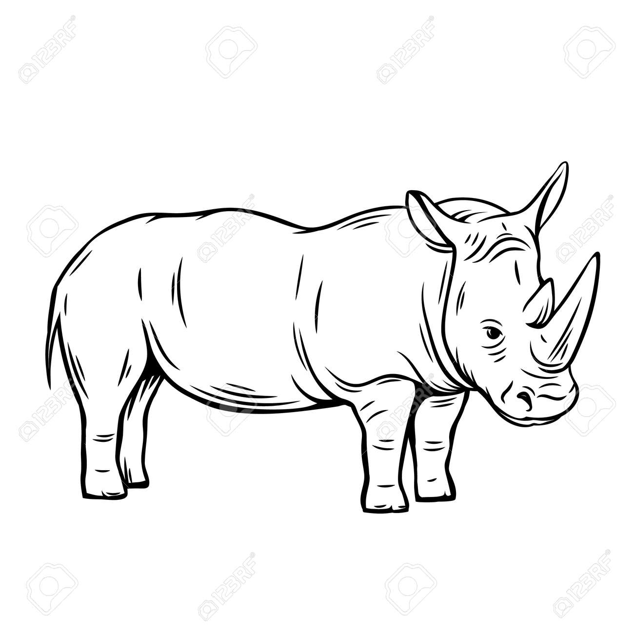 Outline Rhinoceros Icon. Hand Drawn Vector Illustration Of Rhino. Zoo  Animal Royalty Free SVG, Cliparts, Vectors, and Stock Illustration. Image  126945116., image size:1300x1300