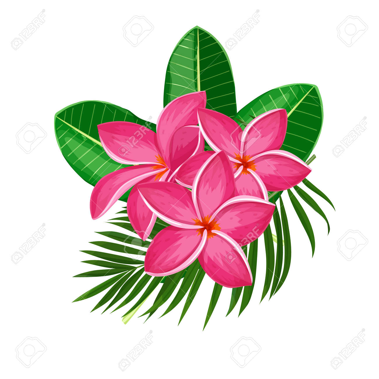 Plumeria, Summer Tropical Flower. Cartoon Style Vector Illustration. Exotic Hawaiian Element. Vector Illustration. Royalty Free SVG, Cliparts, Vectors, And Stock Illustration. Image 115192588. Plumeria, Summer Tropical Flower. Cartoon Style Vector Illustration. Exotic Hawaiian Element. Vector Illustration. Royalty Free SVG, Cliparts, Vectors, And Stock Illustration. Image 115192588.