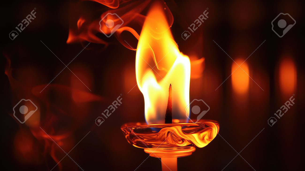 etiam-dictum-ipsum-a-felis