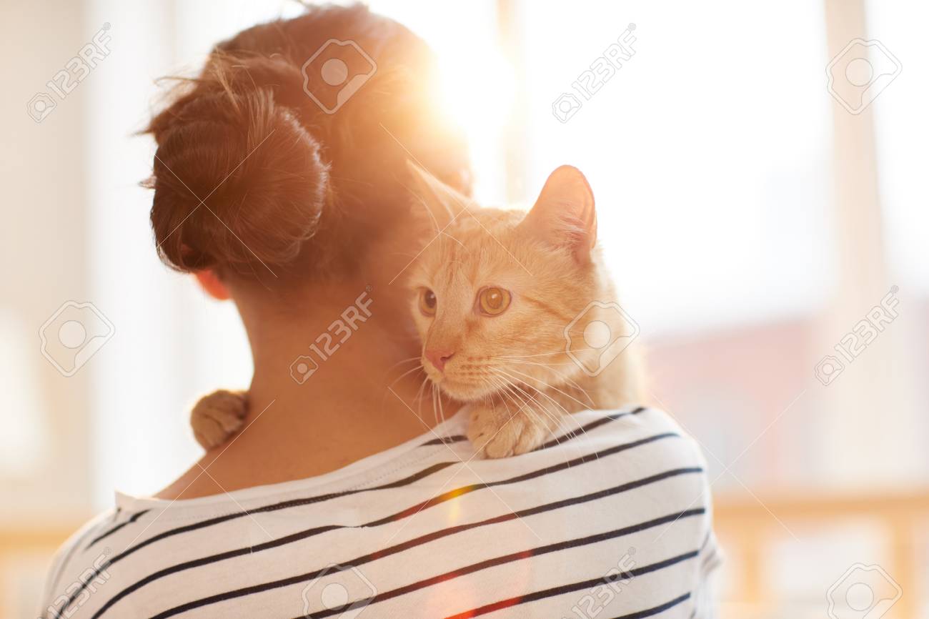 Ginger Cat Embracing Owner - 120890642 Ginger Cat Embracing Owner - 120890642
