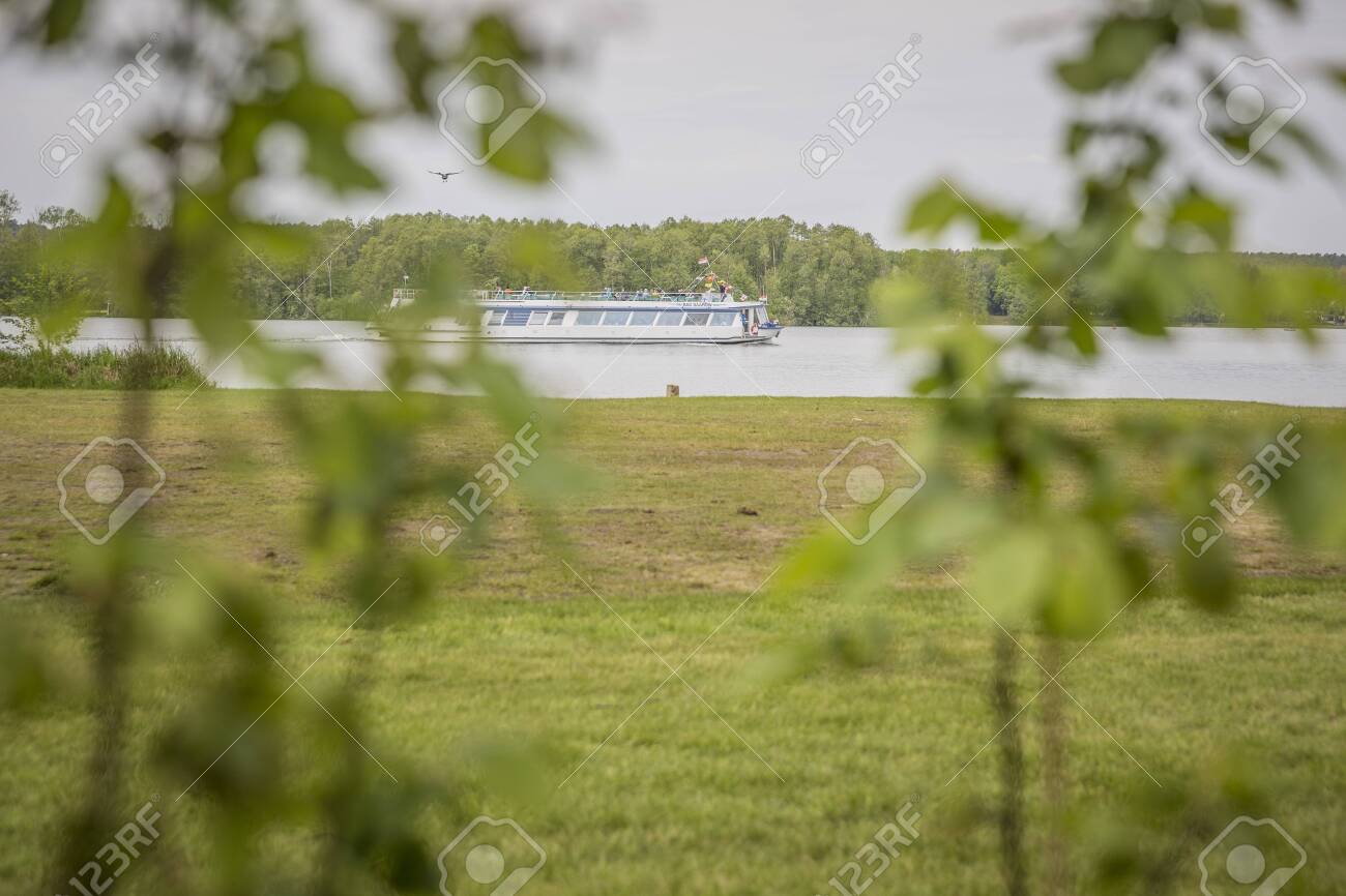 etiam-dictum-ipsum-a-felis