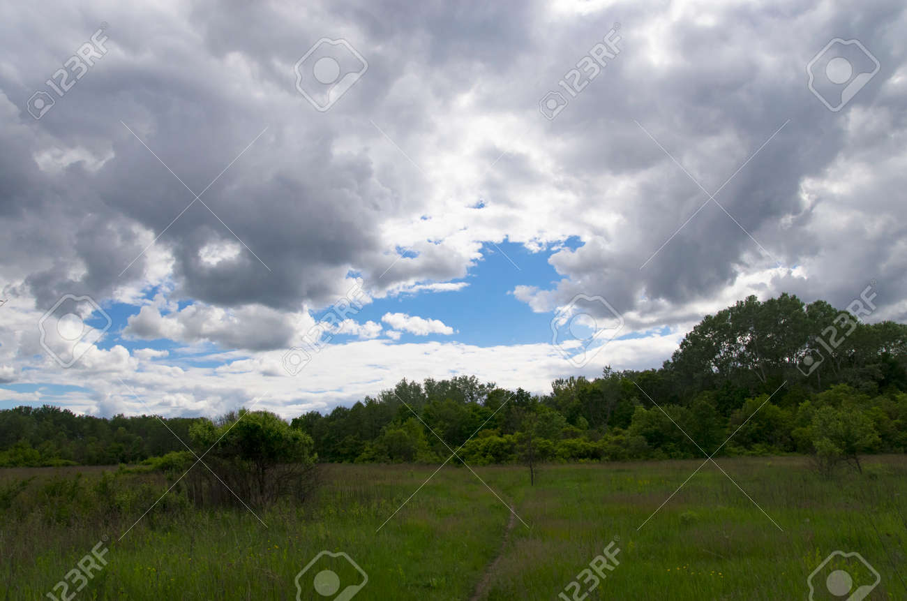 Landscape of a forest glade under the sky with clouds - 158440163 Landscape of a forest glade under the sky with clouds - 158440163